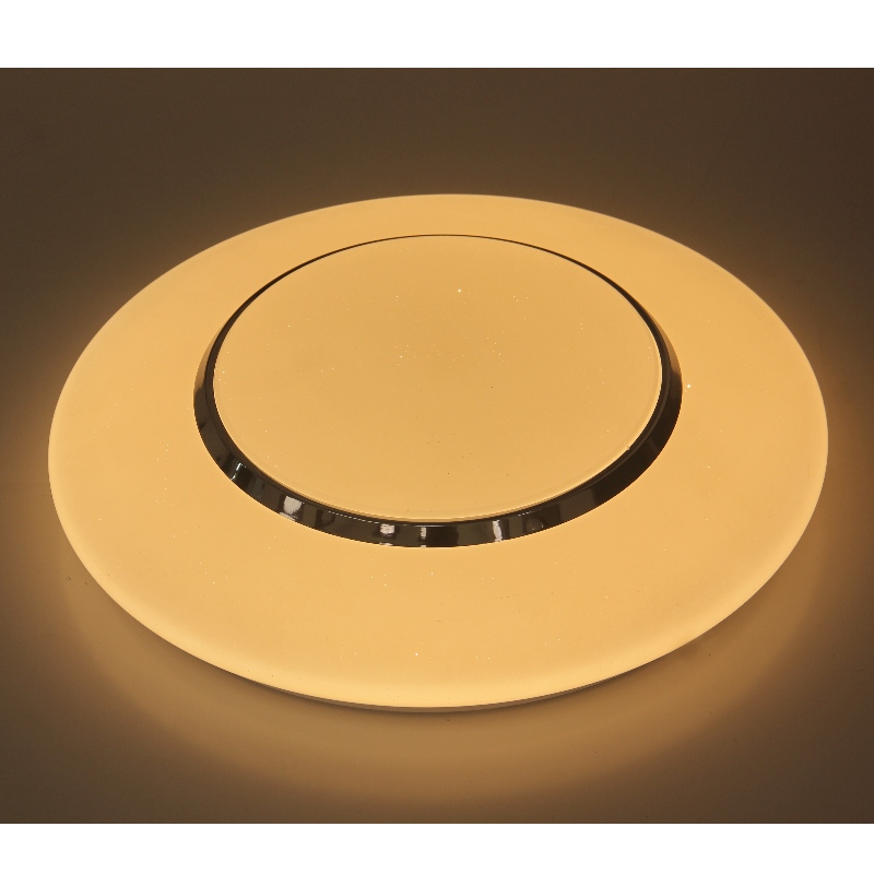 CX237 Ceiling Light