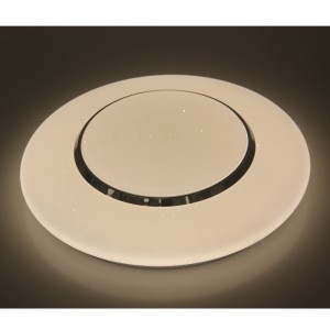 CX237 Ceiling Light