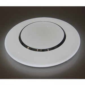 CX237 Ceiling Light