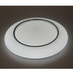 CX241 Ceiling Light