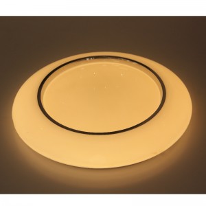 CX241 Ceiling Light