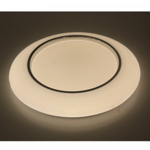 CX241 Ceiling Light