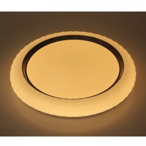 CX242 Ceiling Light