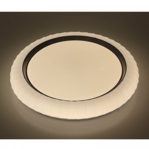 CX242 Ceiling Light