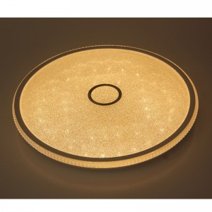 CX244 Ceiling Light