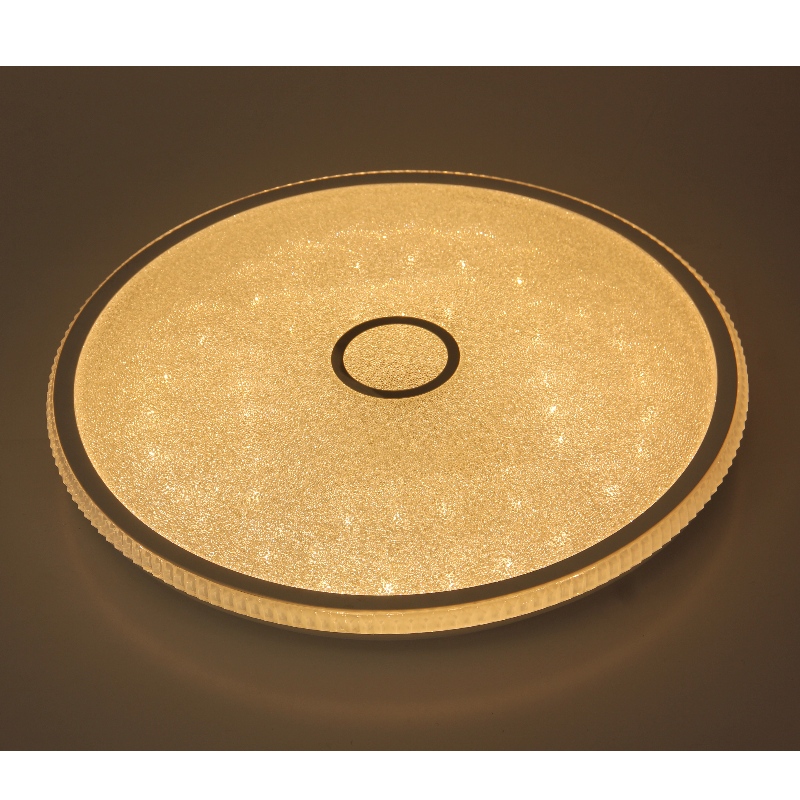 CX244 Ceiling Light