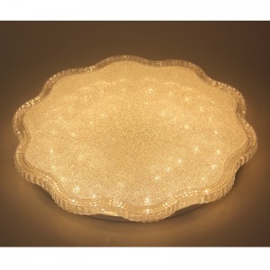CX245 Ceiling Light