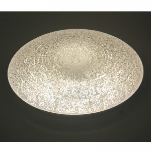 CX246 Ceiling Light