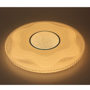 CX248 Ceiling Light