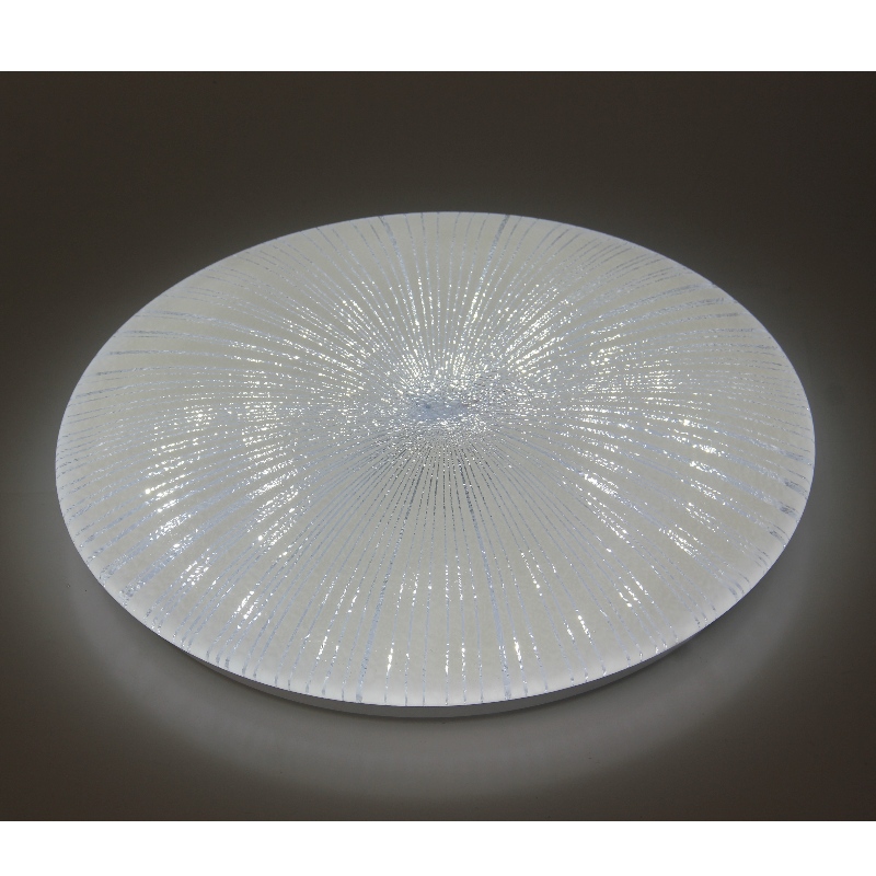 CX251 Ceiling Light