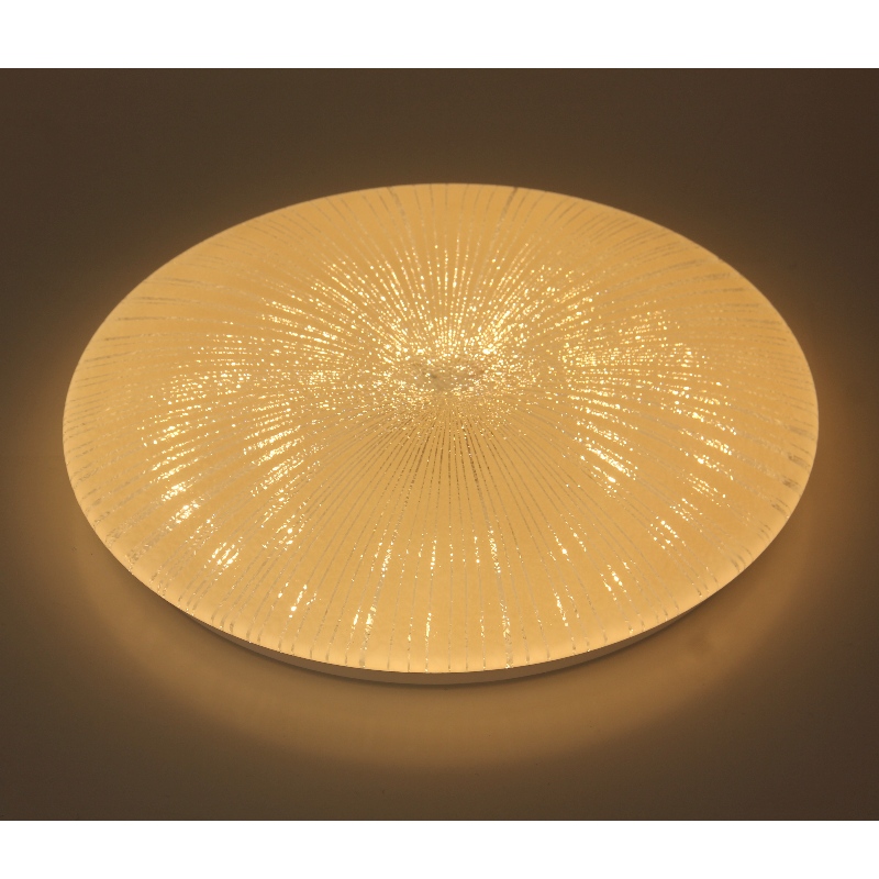 CX251 Ceiling Light