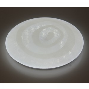 CX252 Ceiling Light