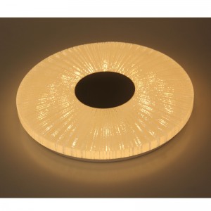 CX253 Ceiling Light