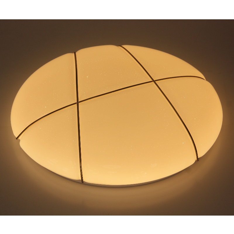 CX254 Ceiling Light