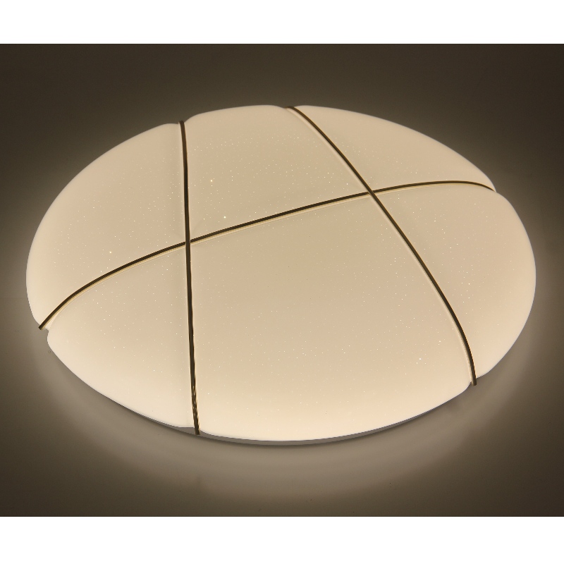 CX254 Ceiling Light