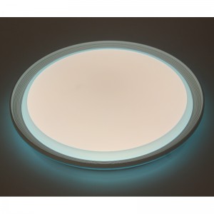 CX256 Ceiling Light