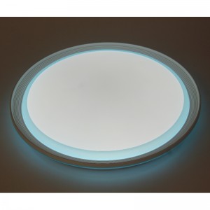 CX256 Ceiling Light