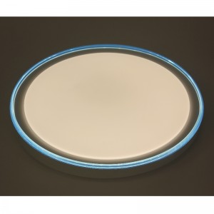 CX257 Ceiling Light