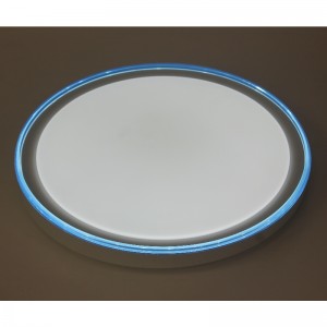 CX257 Ceiling Light