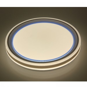 CX258 Ceiling Light
