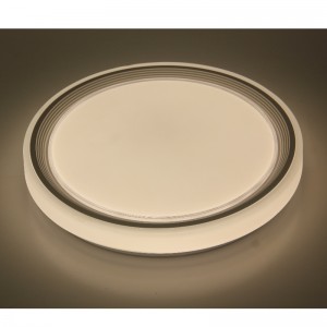 CX260 Ceiling Light