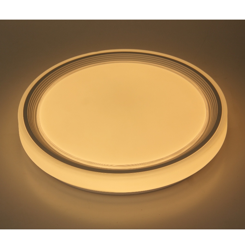 CX260 Ceiling Light