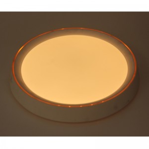 CX280 Ceiling Light