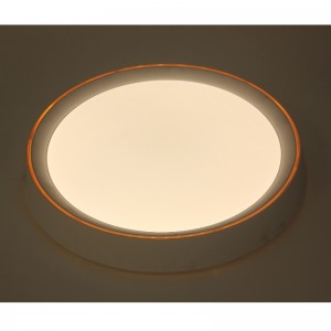 CX280 Ceiling Light