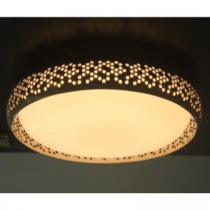 CX283 Ceiling Light