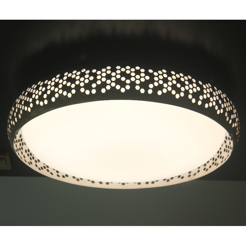 CX283 Ceiling Light