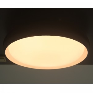 CX284 Ceiling Light