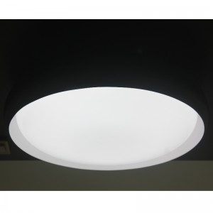 CX284 Ceiling Light