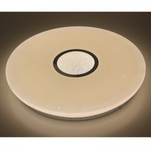 CX289 Ceiling Light