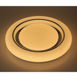CX292 Ceiling Light