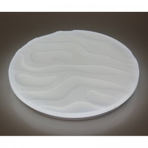 CX303 Ceiling Light