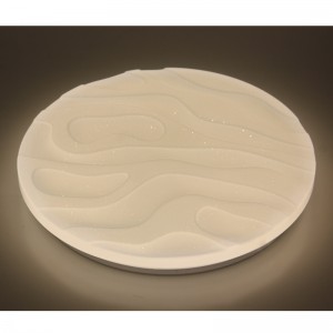 CX303 Ceiling Light