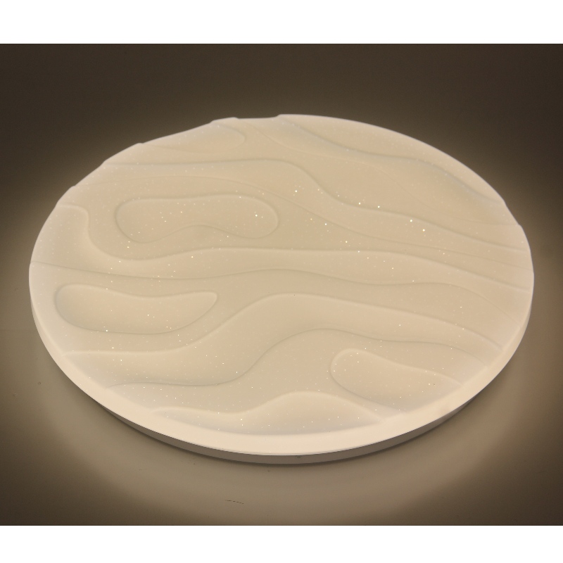 CX303 Ceiling Light