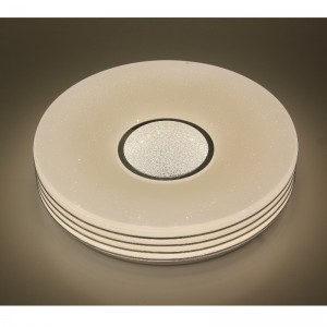 CX306 Ceiling Light