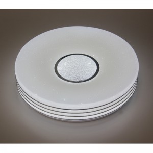 CX306 Ceiling Light