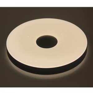 CX309 Ceiling Light