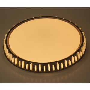 CX310 Ceiling Light