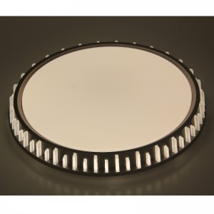 CX310 Ceiling Light
