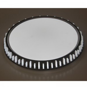 CX310 Ceiling Light