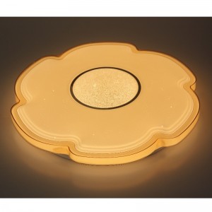 CX311 Ceiling Light