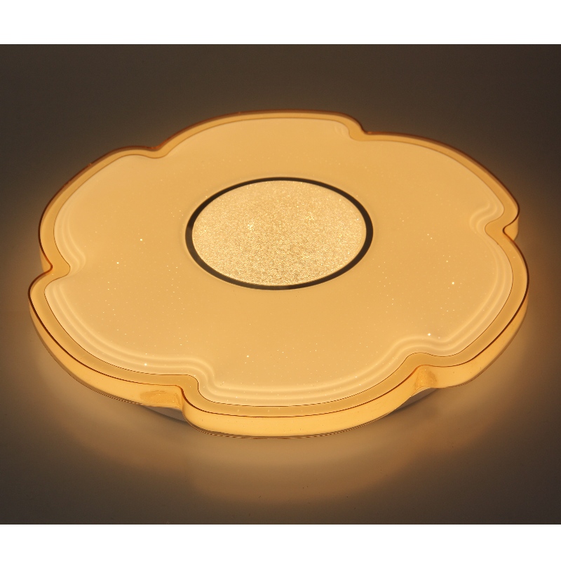 CX311 Ceiling Light