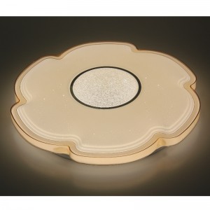 CX311 Ceiling Light