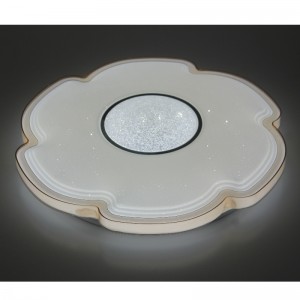 CX311 Ceiling Light