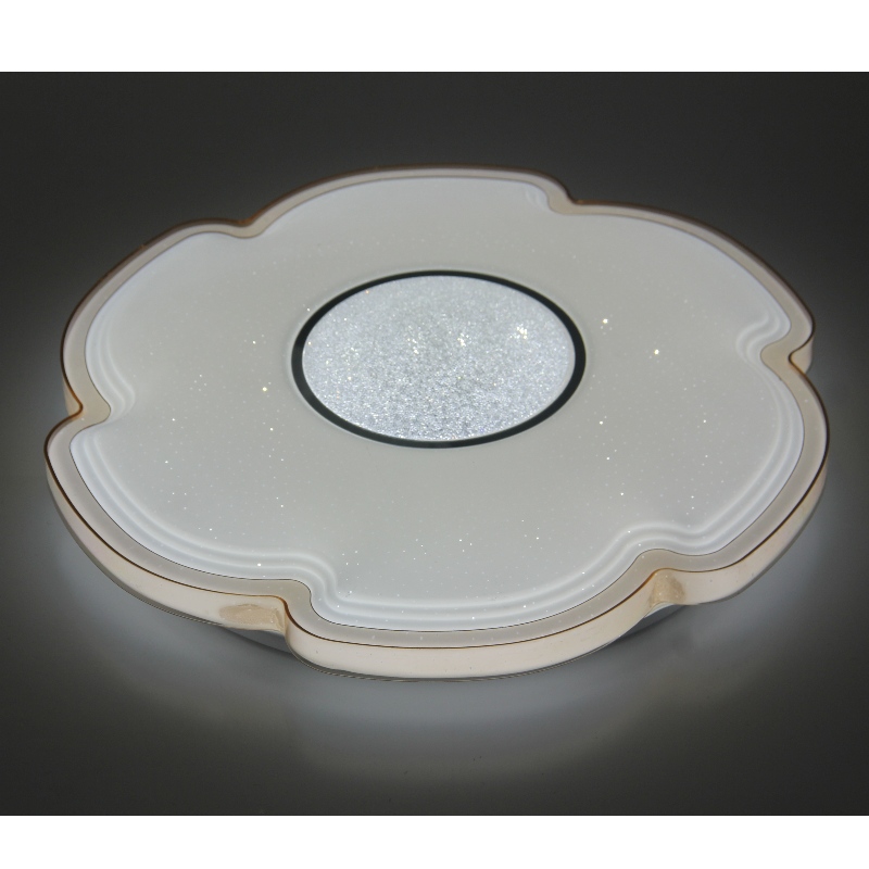 CX311 Ceiling Light