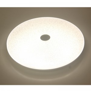 CX338 Ceiling Light