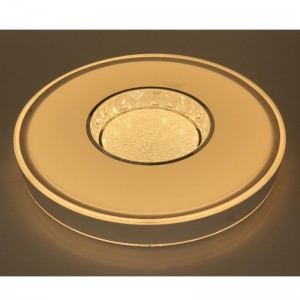CX340 Ceiling Light